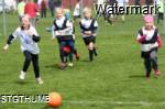 Klassfotboll 2015 FB - 042.JPG

170,78 KB 
1200 x 800 
2015-05-30